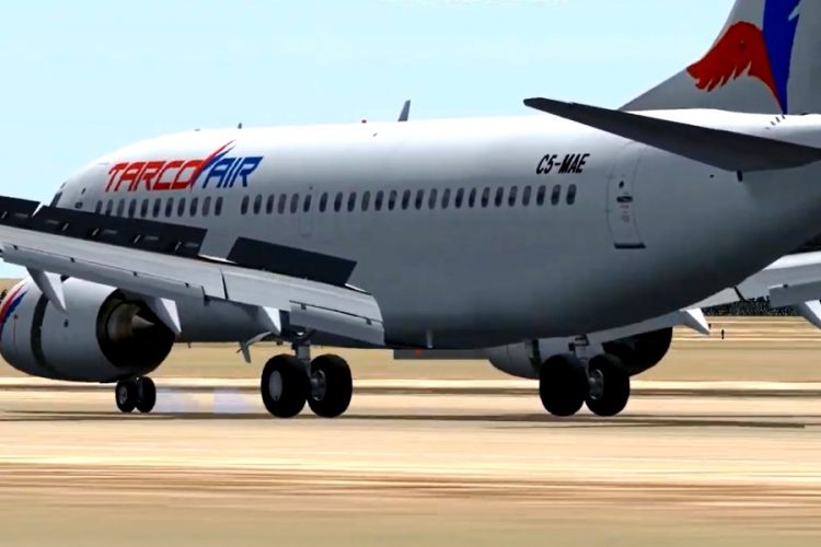 Самолет совершил экстренную посадку из-за напавшего на пилотов кота