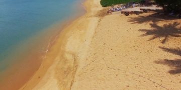 В Таиланде оценили первые результаты гольф-карантина