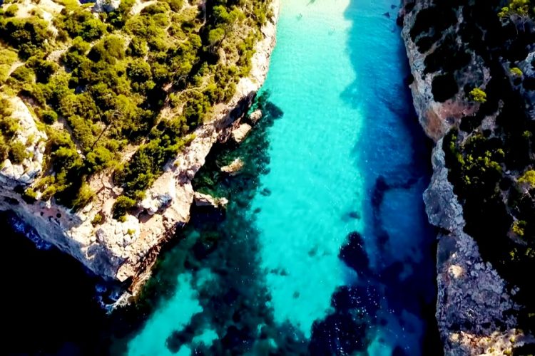 Власти Балеарских островов недовольны наплывом немцев