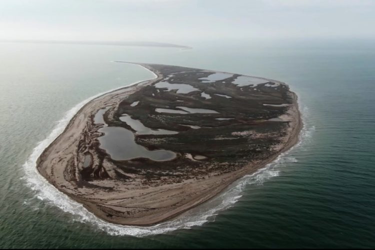 Объяснена причина популярности нескольких российских направлений