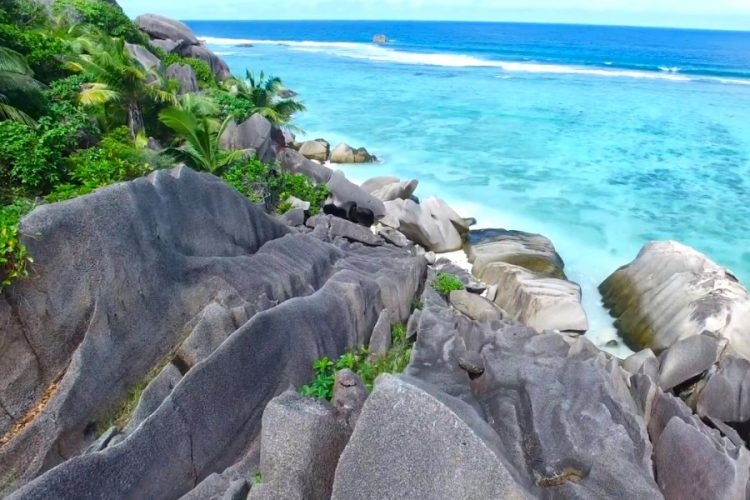 Сейшельские острова начинают принимать невакцинированных туристов