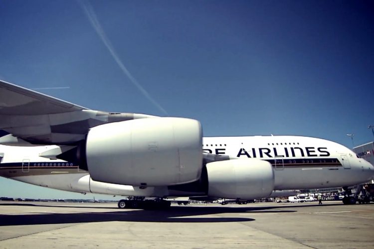 Со следующей недели туристы начнут пользоваться цифровыми паспортами