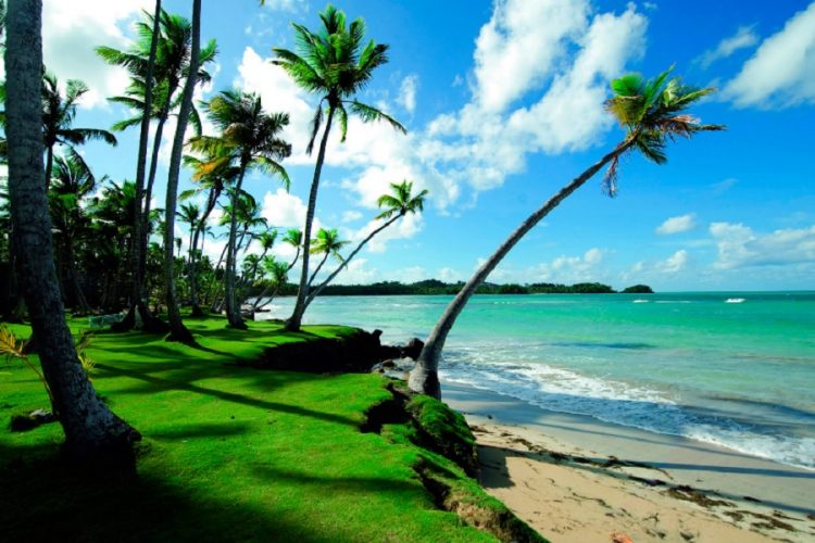 новость 09-04-2021 Туристические операторы начинают продавать туры на Шри-Ланку