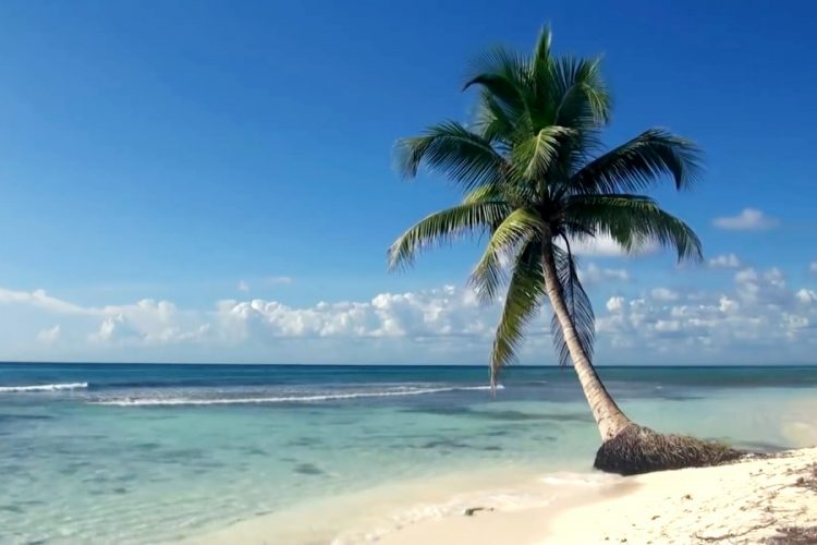 Российские туристы не хотят вакцинироваться ради поездок