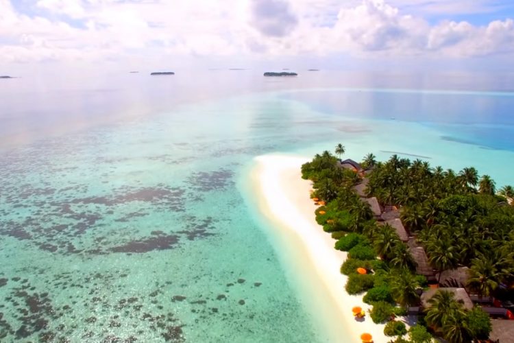 АТОР: Как улететь на Мальдивы за бонусы