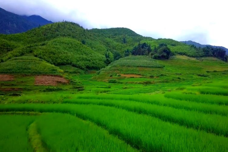 Space Travel: Можно ли ждать отдыха в странах ЮВА в этом году