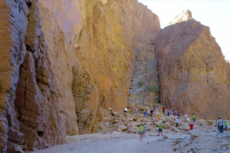 Посольство Египта подтверждает запуск "курортных" рейсов из России