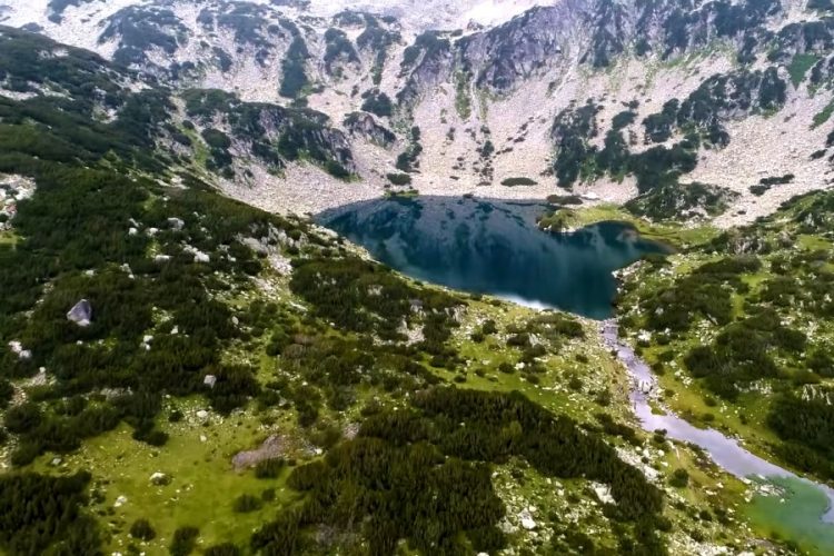 Болгария озвучила готовность принимать россиян