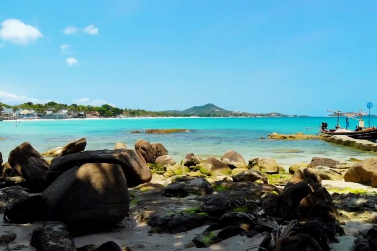 Озвучена еще одна профессия, которую выбирают бывшие работники туризма