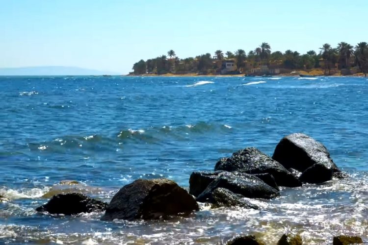 Продажи туров в Египет открыли два туроператора