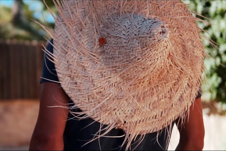 Библио-Глобус отправил первых туристов в Тунис