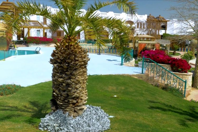 Отели Шарм-эль-Шейха и Хургады должны пройти проверки