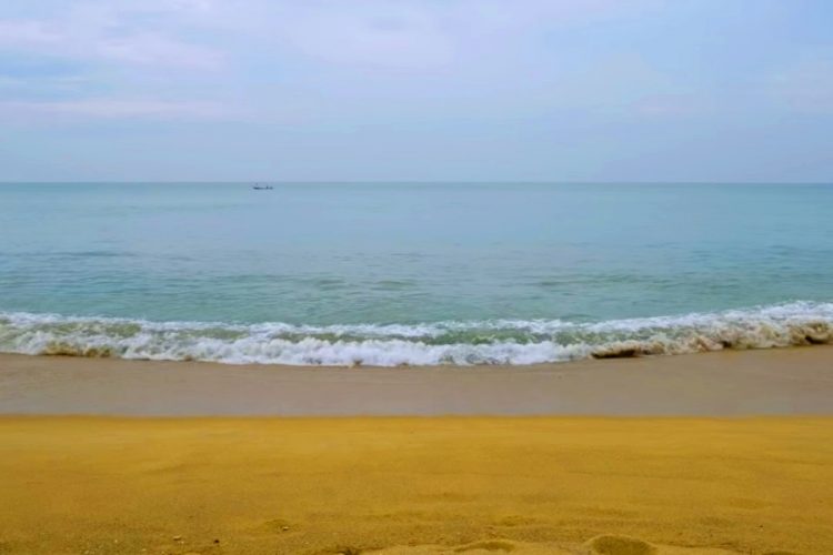 Минздрав Таиланда озвучил 5 сценариев на ближайшее время