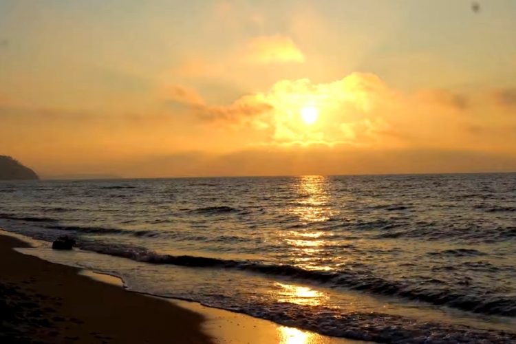 В Германии отправили домой более 500 туристов