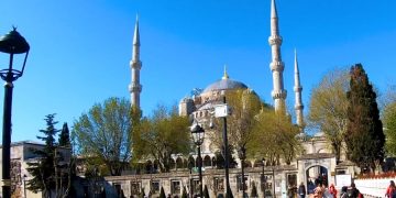 Жириновский призвал закрыть рейсы в Турцию