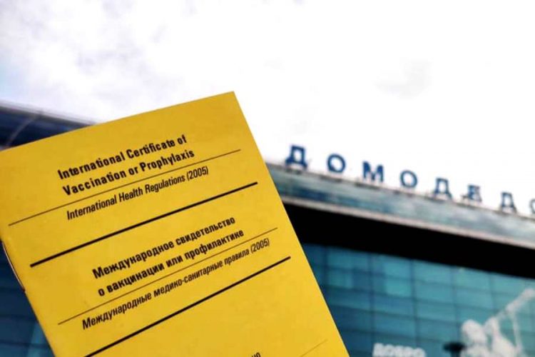 В аэропорту Домодедово начали выдавать международные паспорта вакцинации