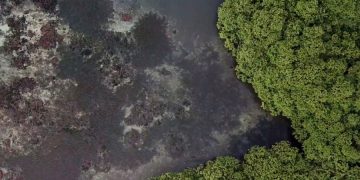 Некоторые регионы Камбоджи не хотят возвращения туризма