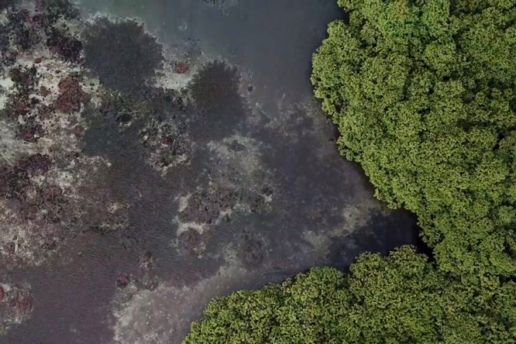 Некоторые регионы Камбоджи не хотят возвращения туризма