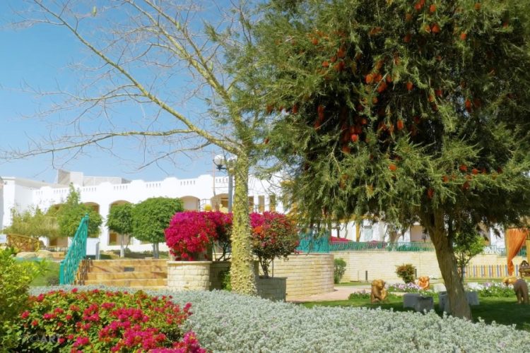 Озвучена минимальная стоимость отдыха на курортах Египта