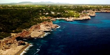 В ЕС намерены быстрее внедрить коронавирусные сертификаты