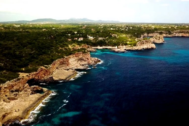 В ЕС намерены быстрее внедрить коронавирусные сертификаты