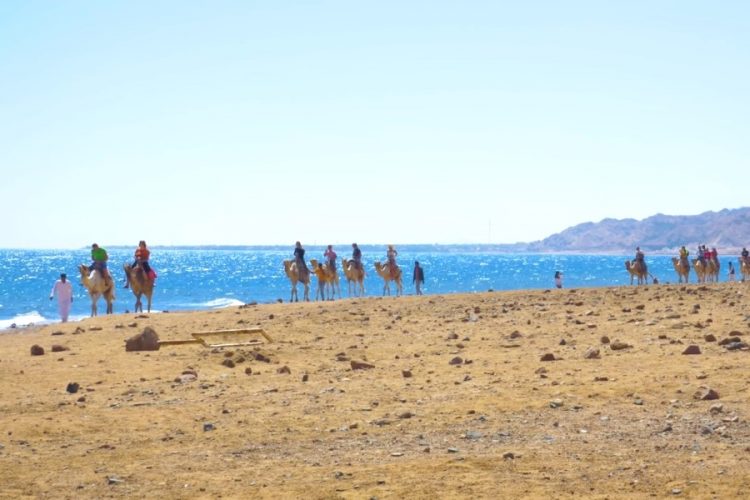 Заявление об открытии курортов Египта прозвучало с опозданием