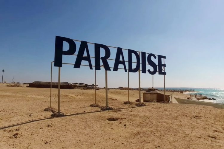 Некоторые россияне будут сдавать два теста на ковид по возвращении домой