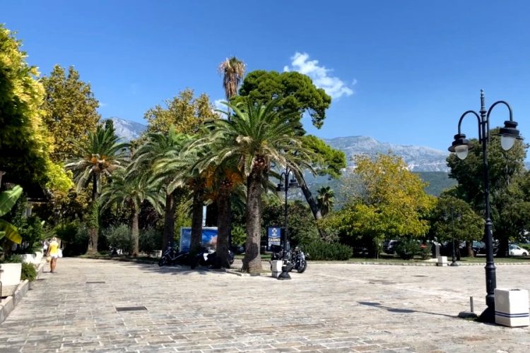 ВОЗ высказалась о коронавирусных сертификатах после очередных заявлений