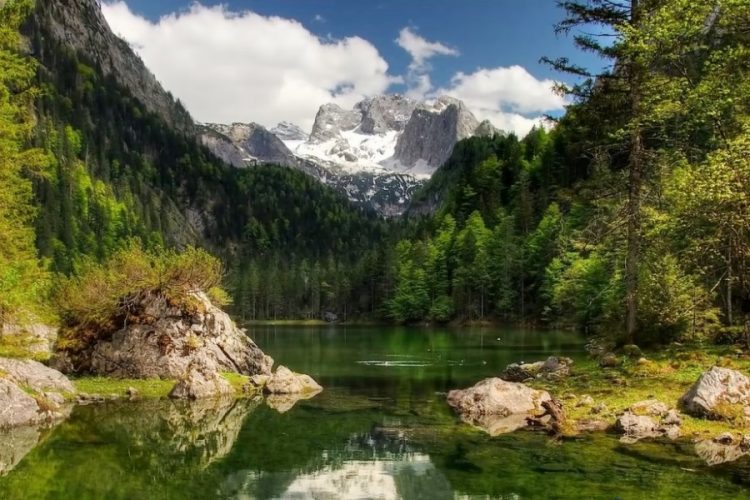 В Тироле рассказали, когда ждут россиян