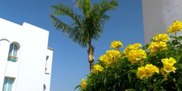 Курорты Египта полностью готовы к приему иностранцев