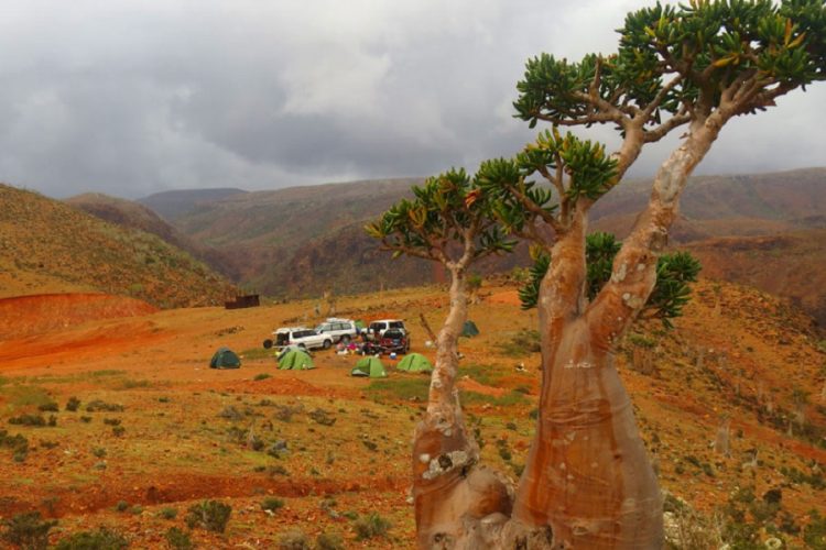 новость 04-05-2021 Как российским туристам попасть на остров Сокотра?