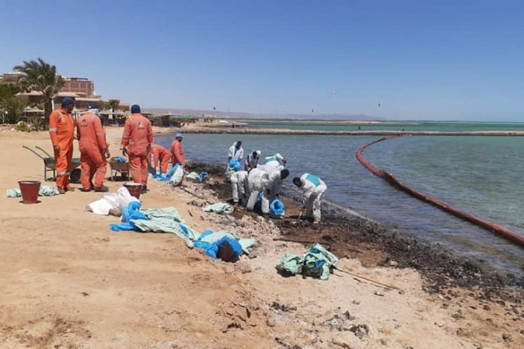 Хургаду накрыла экологическая катастрофа