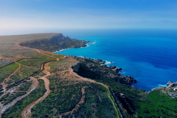 ООН: Цифровые сертификаты должны быть доступны всем