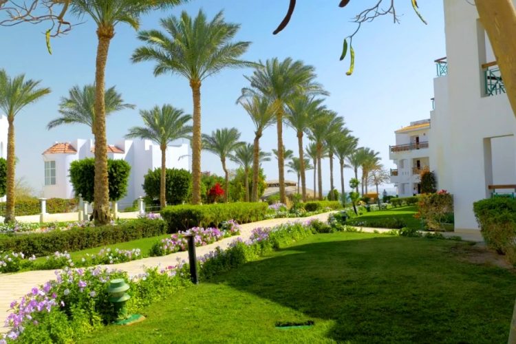 В Египте показали, как готовятся к росту турпотока