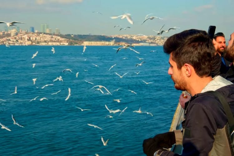 Президенты России и Турции по телефону договорились о развитии туризма