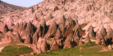 В Турции поделились планом выхода из карантина