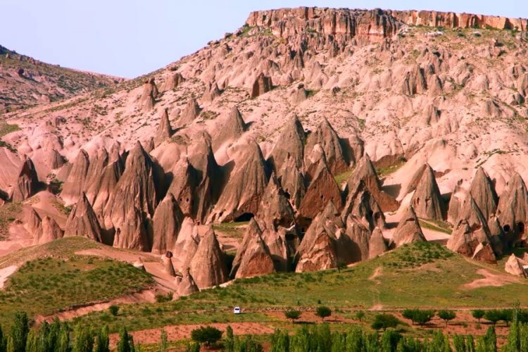 В Турции поделились планом выхода из карантина