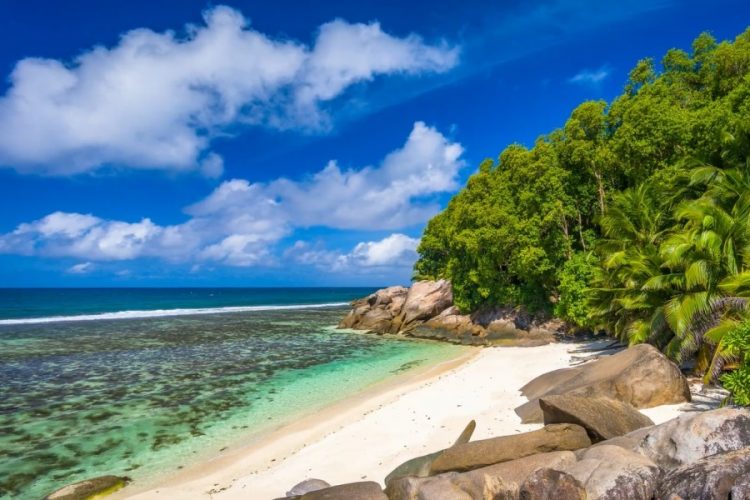 Сейшельские острова и Мальдивы сообщают тревожные новости для туристов