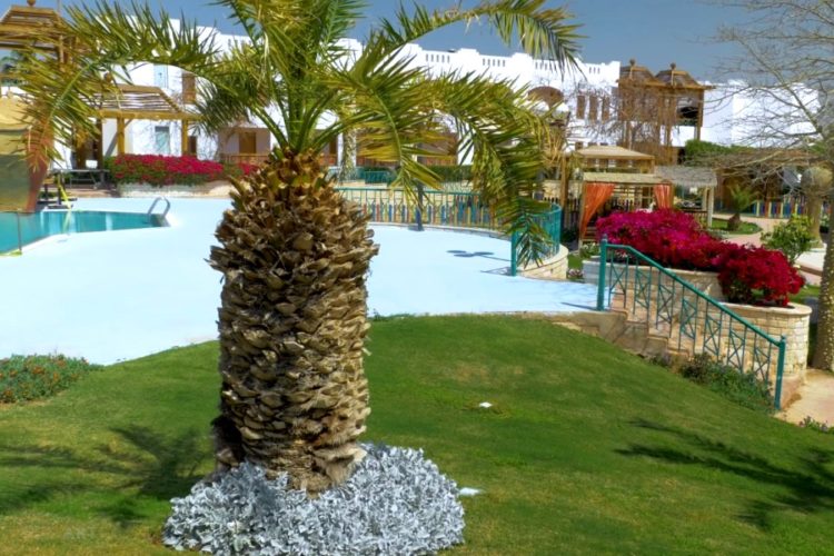 Египет оплатит расходы россиян на карантин