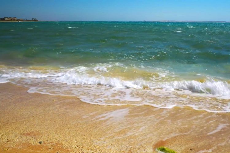 АТОР напоминает правила посещения Туниса