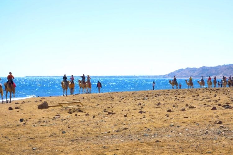 Египет будет доплачивать за прибывших туристов