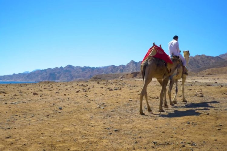 С 1 мая отдых на некоторых курортах Египта подорожал