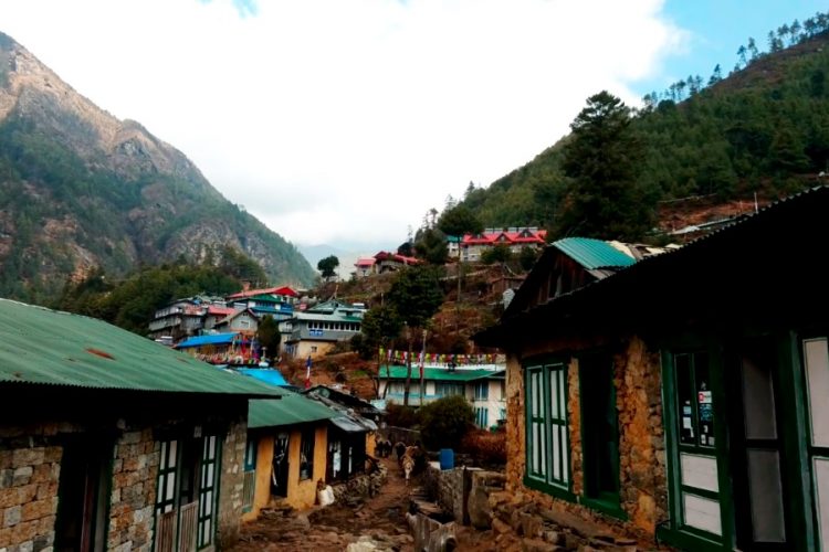 Базовый лагерь на Эвересте буквально кишит ковидом