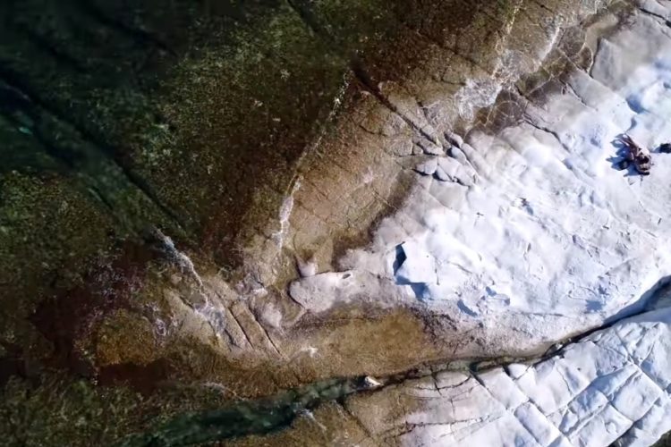 Мальта заинтересована в приеме туристов из РФ