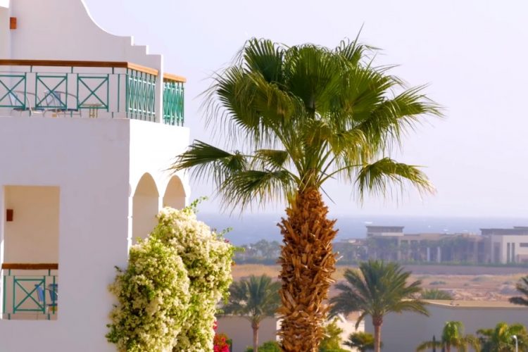 Посол России в Египте убедился в готовности принимать россиян