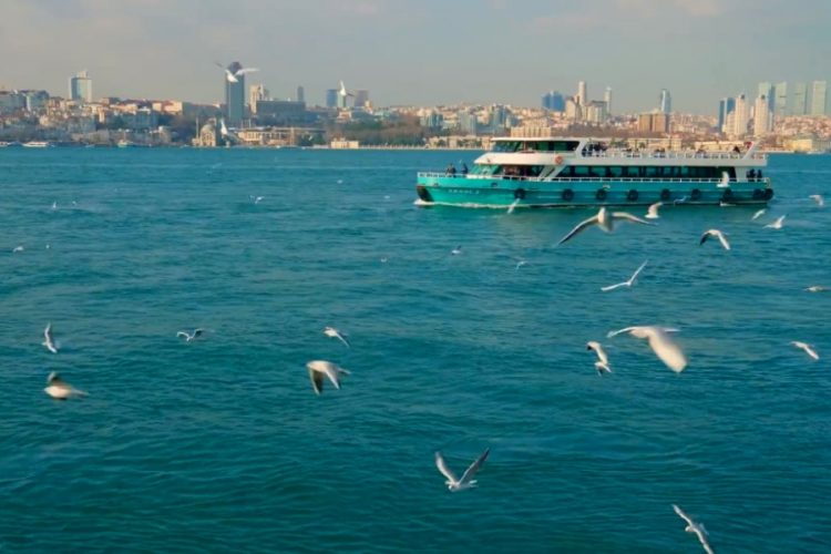 Стоимость аренды вилл в Турции взлетела до рекордных показателей