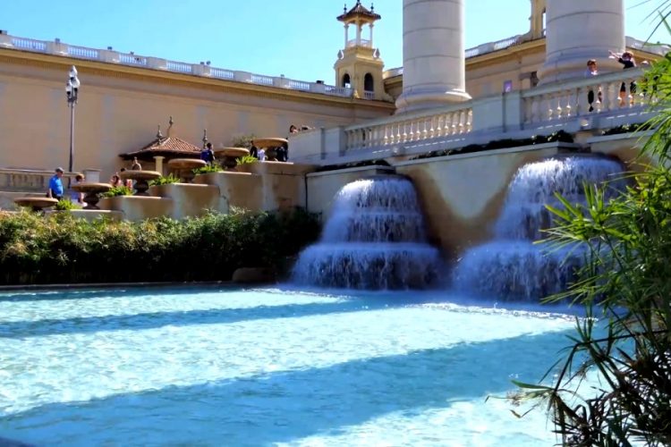 Испания поддерживает появление коронавирусных сертификатов