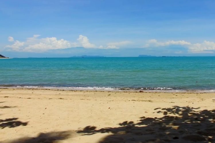 В Таиланде требуют открыть границы, иначе иностранцев ждет катастрофа на курортах