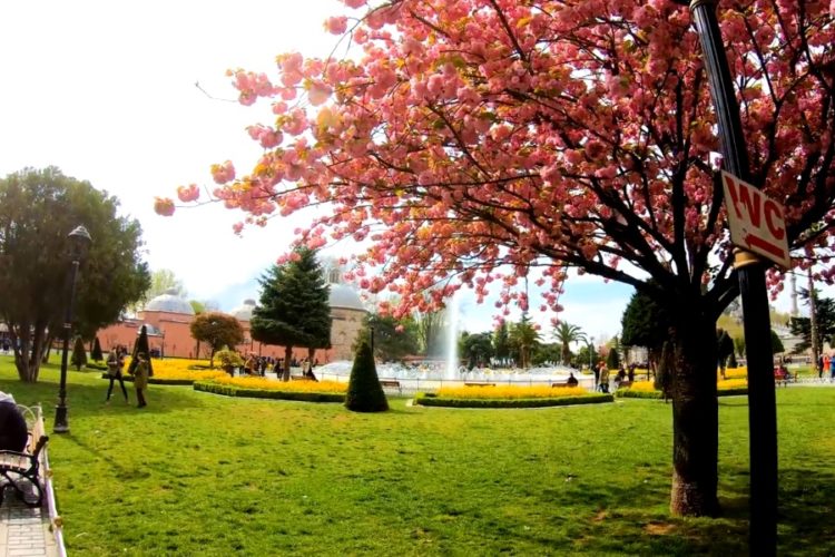 Турция прокомментировала переговоры о запуске рейсов из России