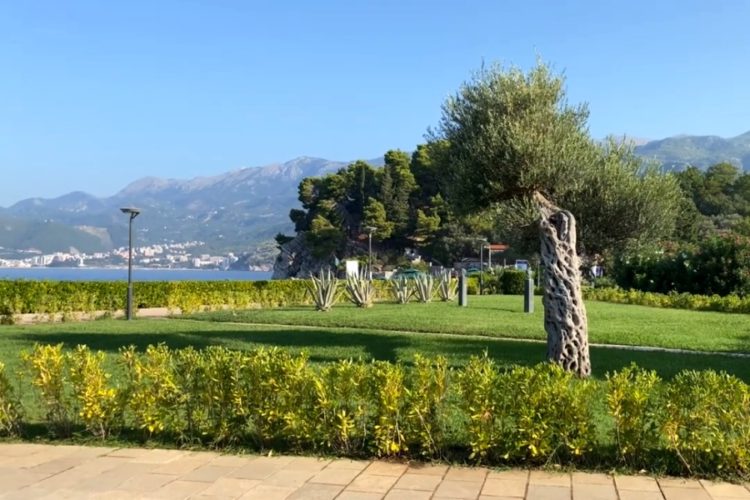 Черногория обращается в правительство РФ с инициативой открыть рейсы